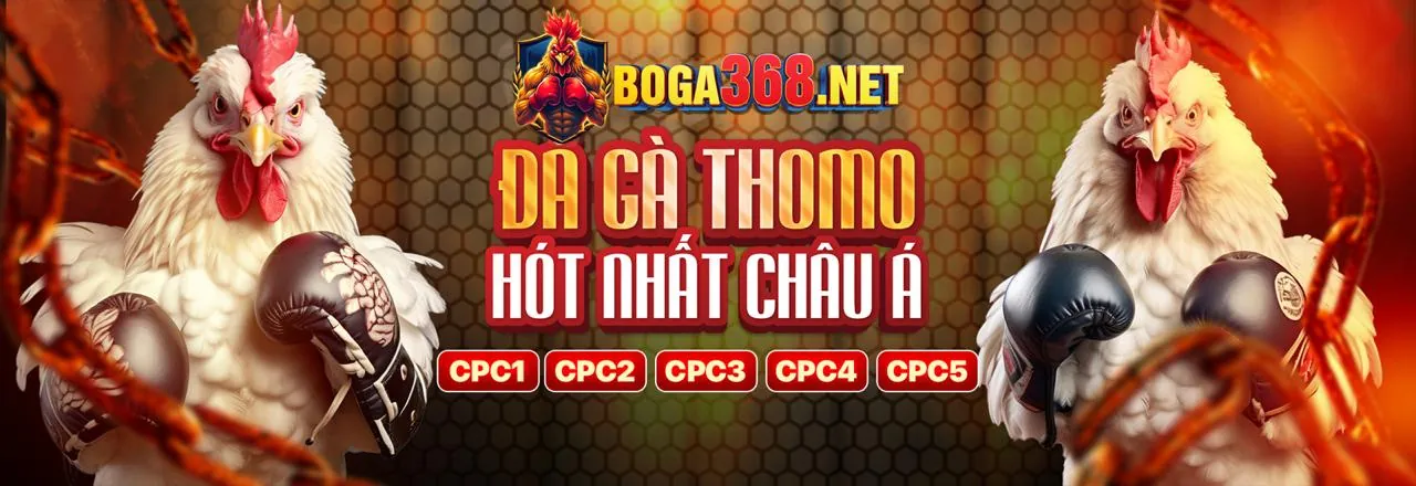 Chính sách quyền riêng tư của thomo68 nhà cái